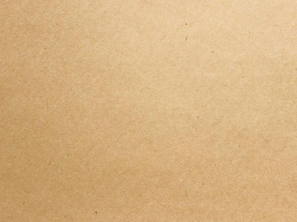 Smooth beige parchment